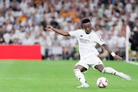 写属于他们 写属于他们